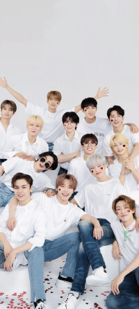 飞柚网络 在堆糖上绽放的创意与灵感天地